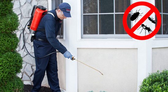 Çamlıhemşin Gümüşkurt İlaçlama böcek ilaçlama ve haşere kontrolü — ilaclama-tr.com